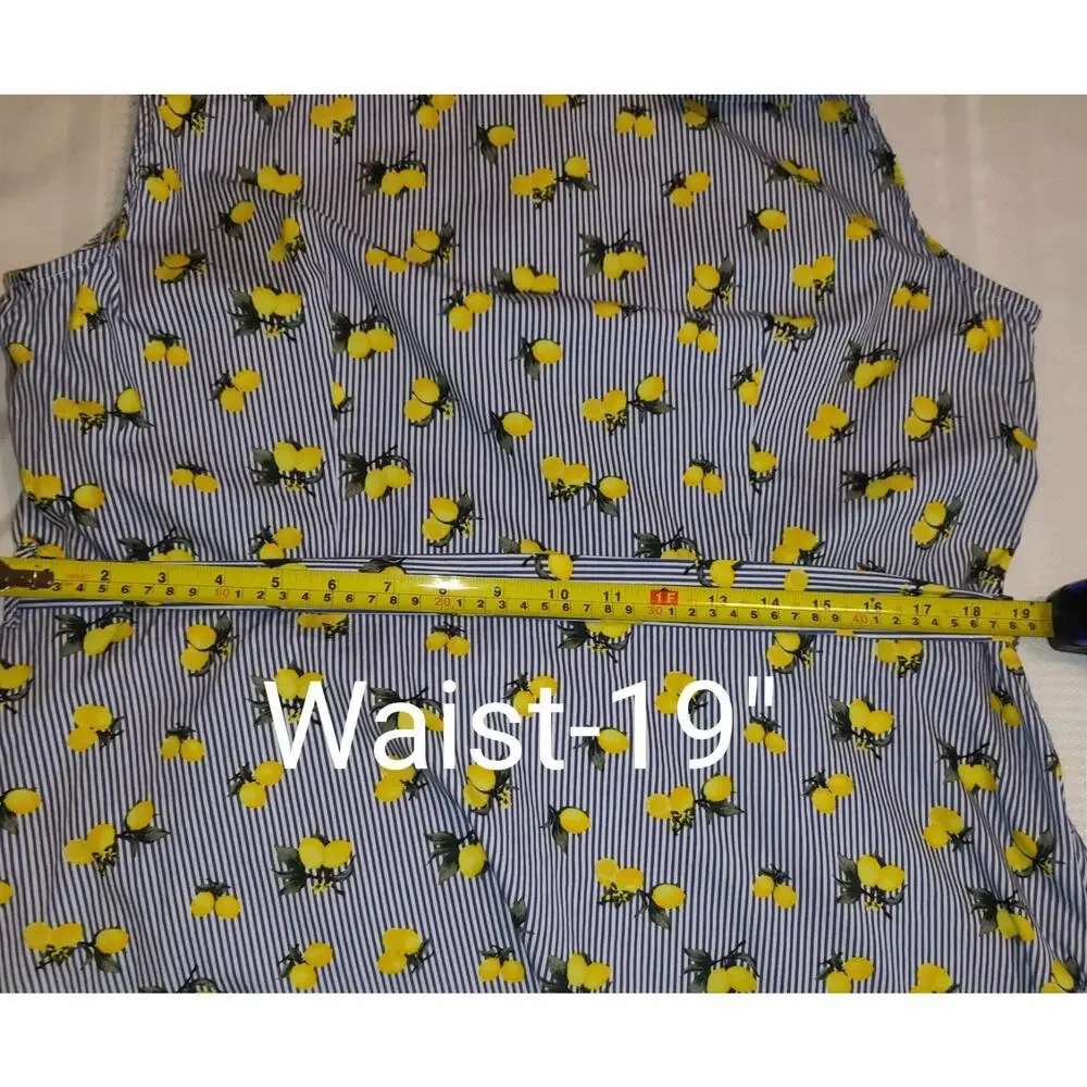 Chloe & Rene Blue Pinstripe Sleeveless Shirt Dress XL Lemon Print Cotton Belted - Picture 15 of 16
